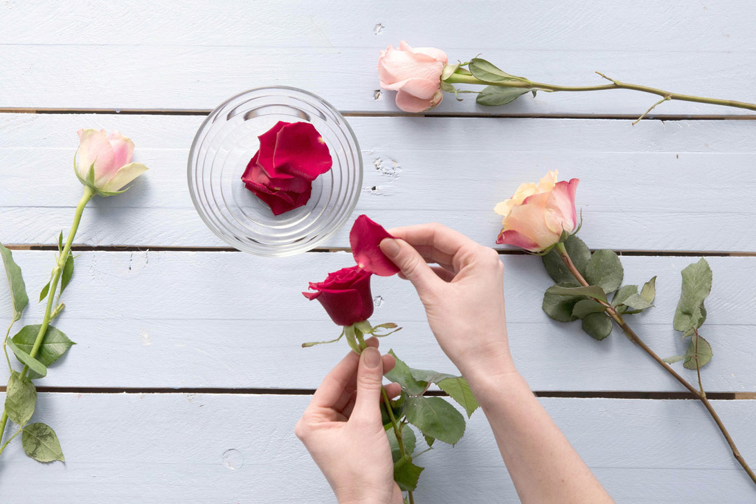 Rosalia by Bảo Hiên: Thông thái với cách lựa chọn nước hoa hồng cho từng loại da